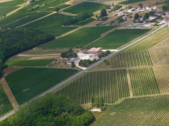 Genestat vineyard Bordeaux France